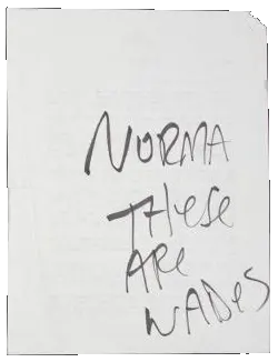 Norma